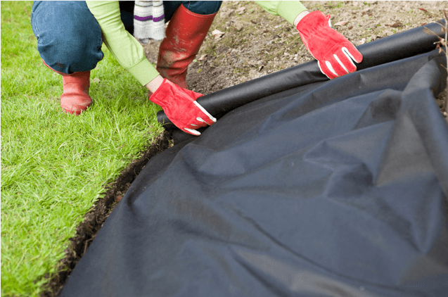Laying A Garden Weed Prevention Membrane Sheet