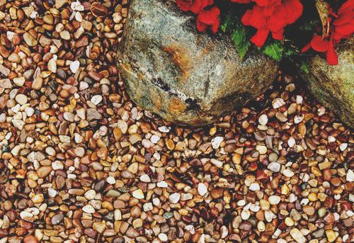 Pea Gravel laid next to rock and red flowers