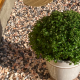 flamengo gravel laid for garden ground cover