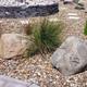 Welsh quartz boulders laid on golden gravel near grassy plants and slate walling