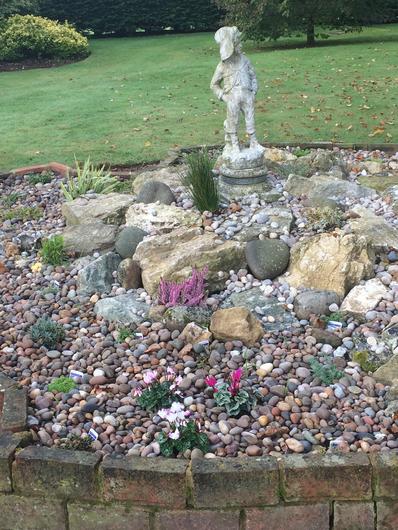 Scottish pebbles laid around rockery garden feature