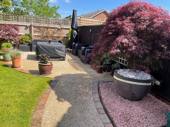 Back garden patio and path area with red potted acer tree and red granite gravel laid underneath