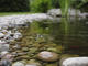Pond water feature with scottish pebbles and cobbles 