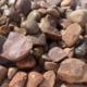 Cobble Stones In Garden Pond