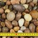 Scottish Pebbles Size