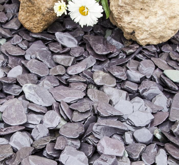 Blue Paddlestones laid next to rockery and white flowers