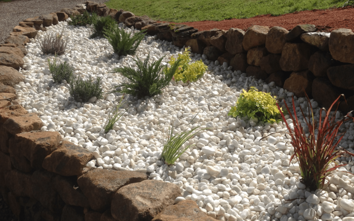 White Pebbles Near Garden Plants