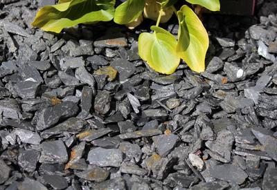 Graphite Grey Slate Chippings 20mm