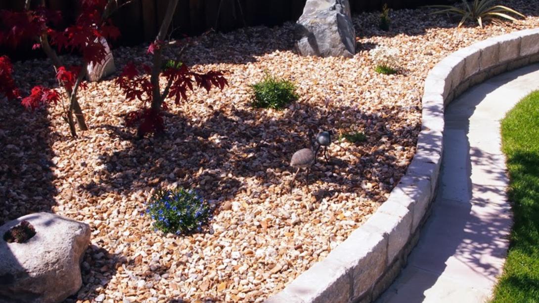 gorgeous light gravel area with rockery and trees 