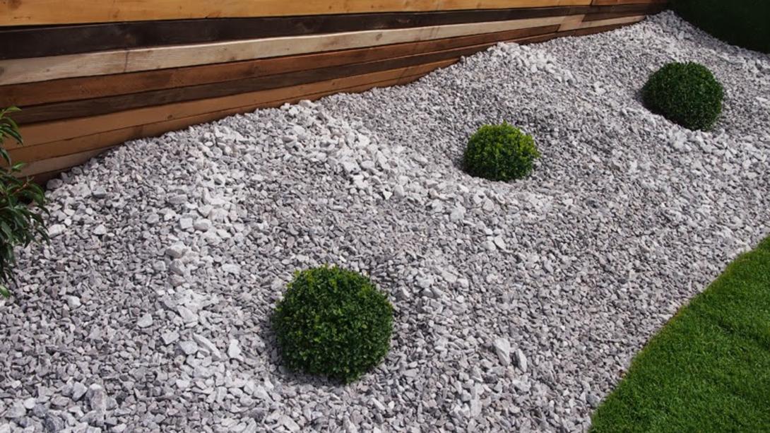 small green bushes planted between grey gravel chippings 