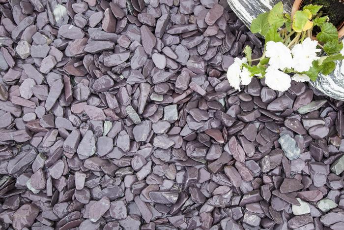 Close up of blue slate chips next to white flowers